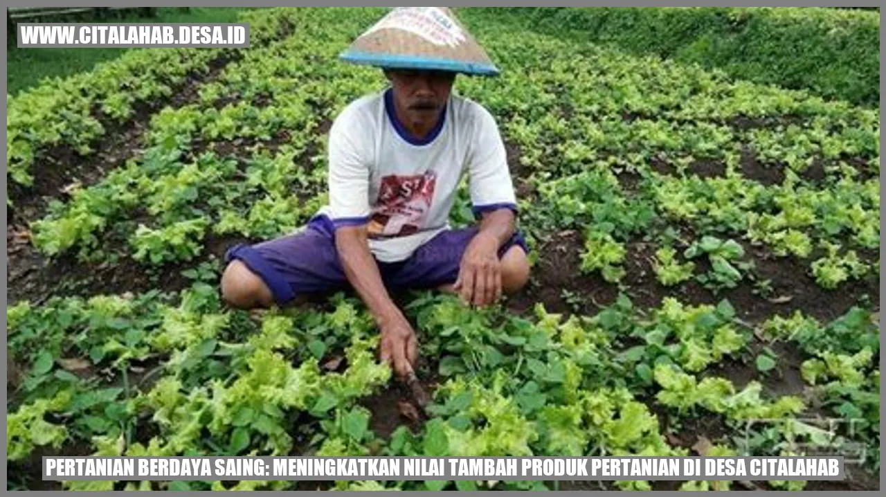 Pertanian Berdaya Saing: Meningkatkan Nilai Tambah Produk Pertanian di Desa Citalahab