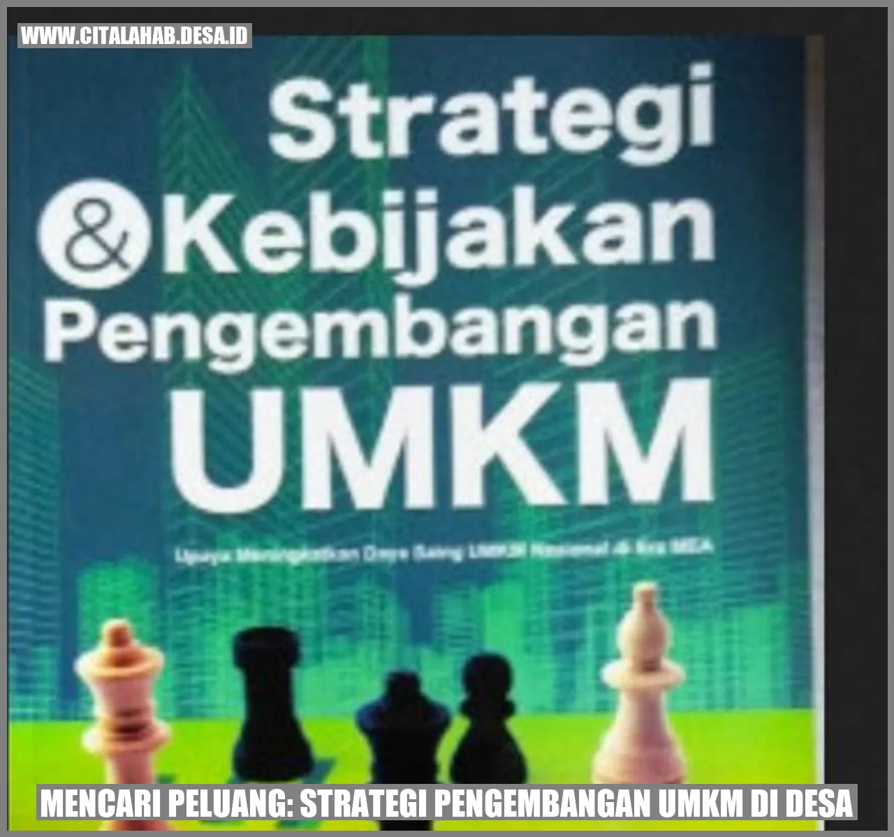 Mencari Peluang: Strategi Pengembangan UMKM di Desa