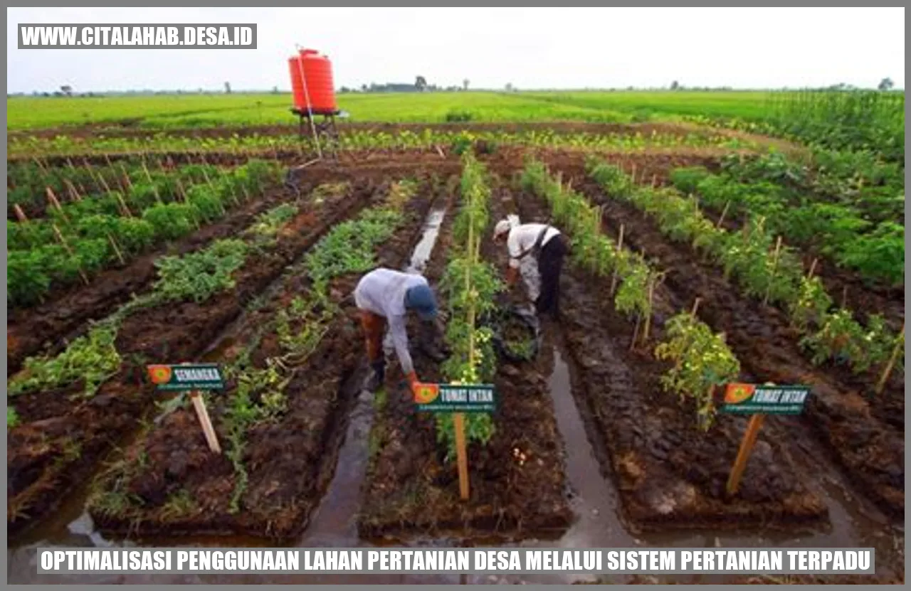 Optimalisasi Penggunaan Lahan Pertanian Desa melalui Sistem Pertanian Terpadu