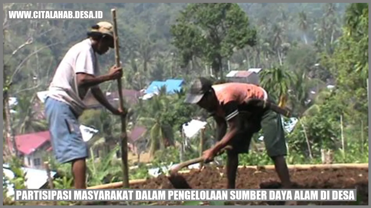 Partisipasi Masyarakat dalam Pengelolaan Sumber Daya Alam di Desa