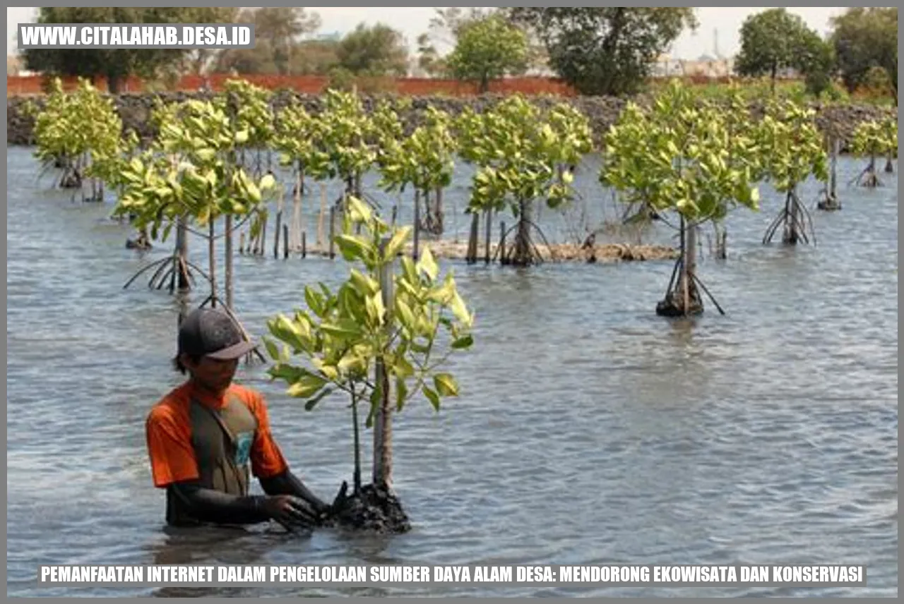 Ekowisata Berbasis Internet untuk Konservasi Desa