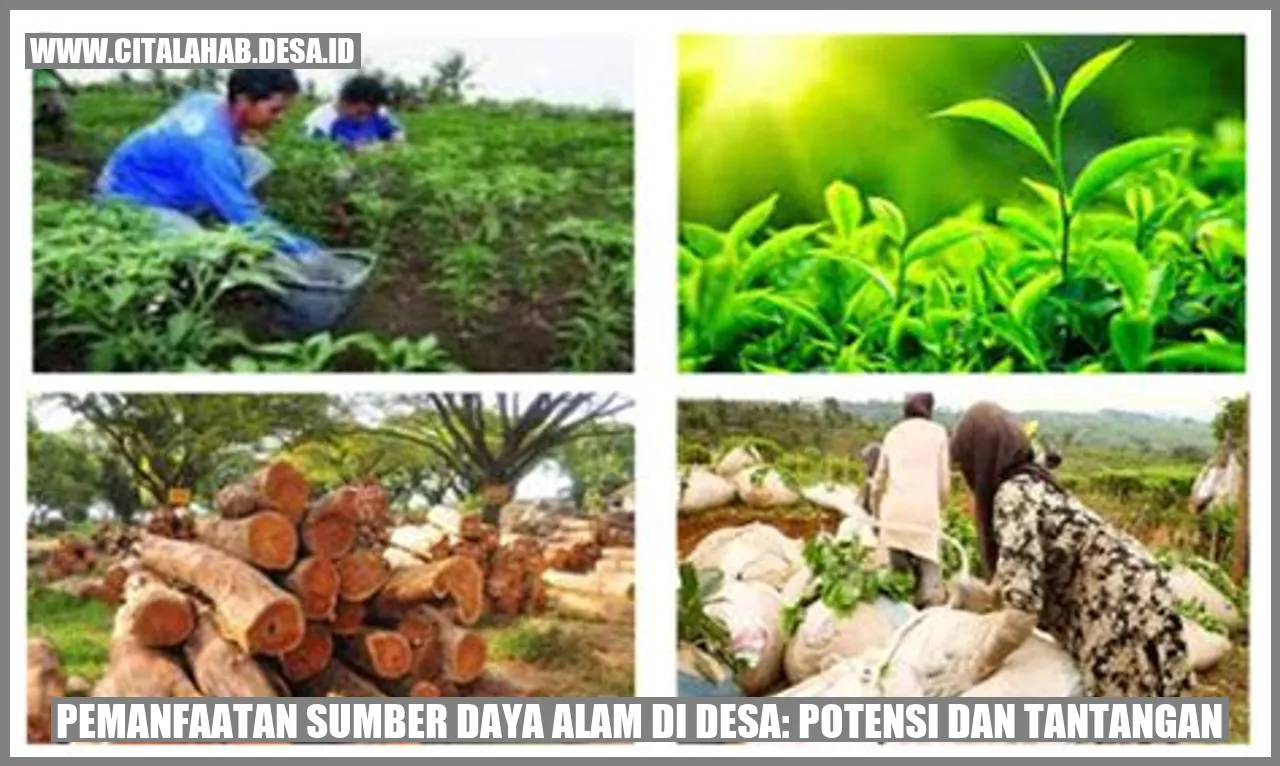 Pemanfaatan Sumber Daya Alam di Desa: Potensi dan Tantangan