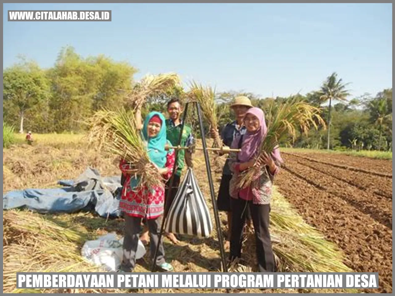 Pemberdayaan Petani melalui Program Pertanian Desa