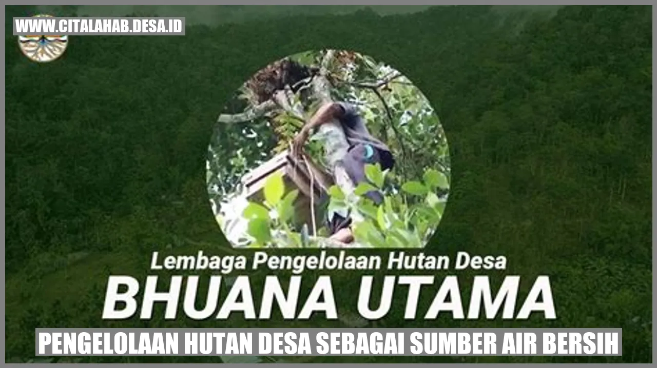 Hutan Desa: Sumber Air Bersih