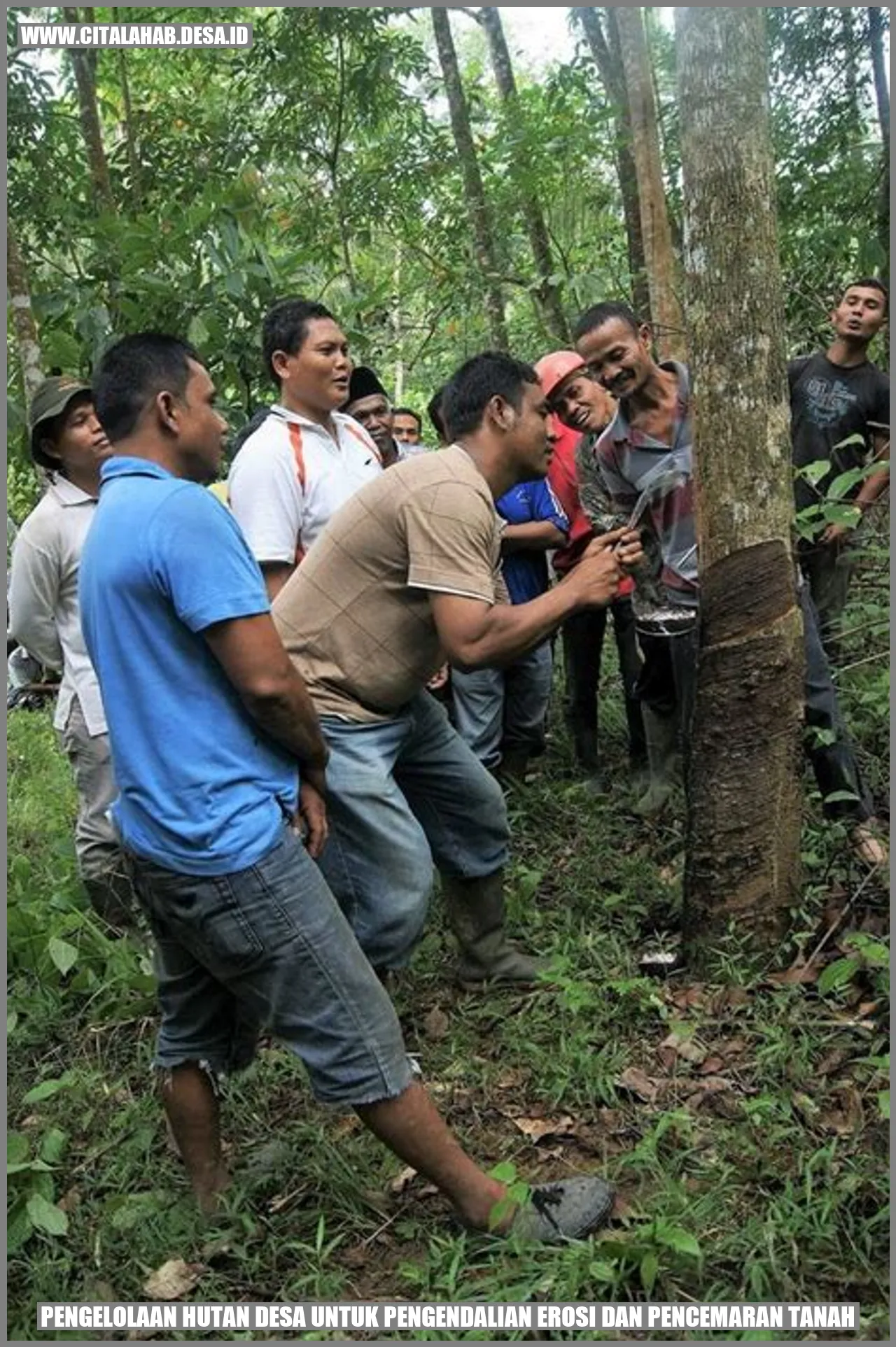 Pengelolaan Hutan Desa untuk Pengendalian Erosi dan Pencemaran Tanah