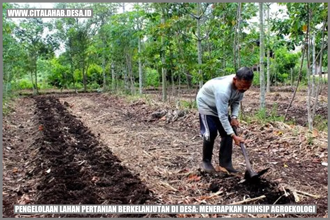 Pengelolaan Lahan Pertanian Berkelanjutan di Desa: Menerapkan Prinsip Agroekologi