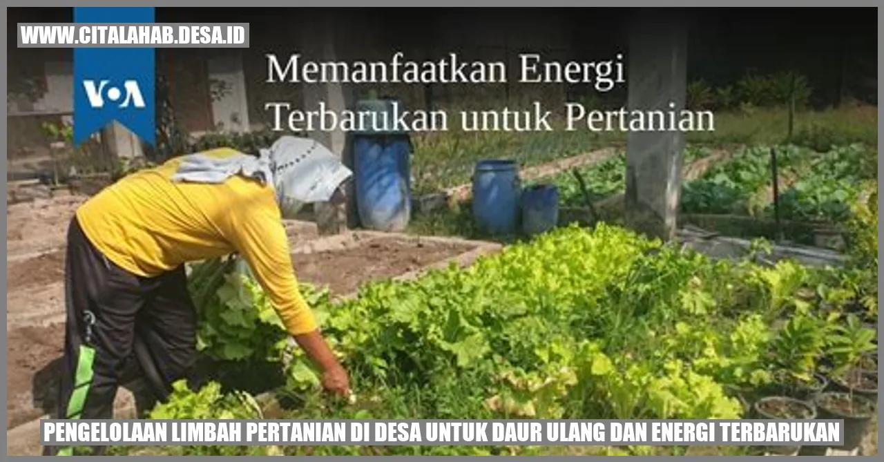 Pengelolaan Limbah Pertanian di Desa untuk Daur Ulang dan Energi Terbarukan