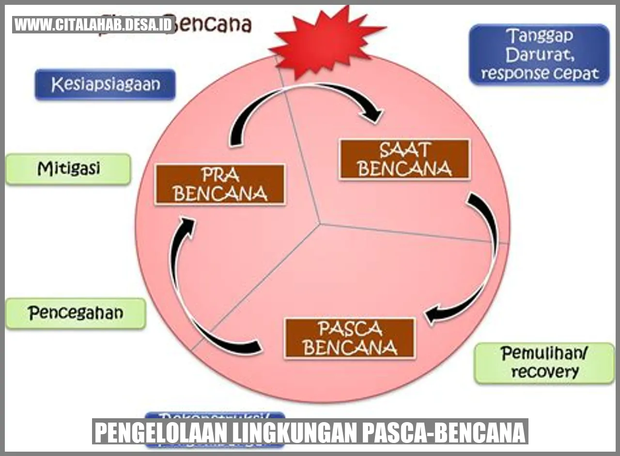 Pengelolaan Lingkungan Pasca-Bencana