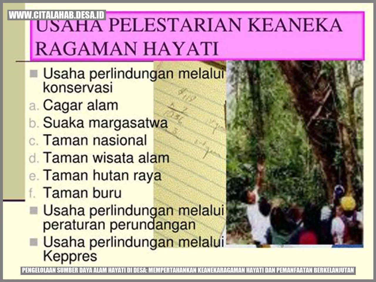 Pengelolaan Sumber Daya Alam Hayati di Desa: Mempertahankan Keanekaragaman Hayati dan Pemanfaatan Berkelanjutan