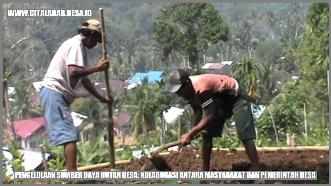 Pengelolaan Sumber Daya Hutan Desa: Kolaborasi antara Masyarakat dan Pemerintah Desa