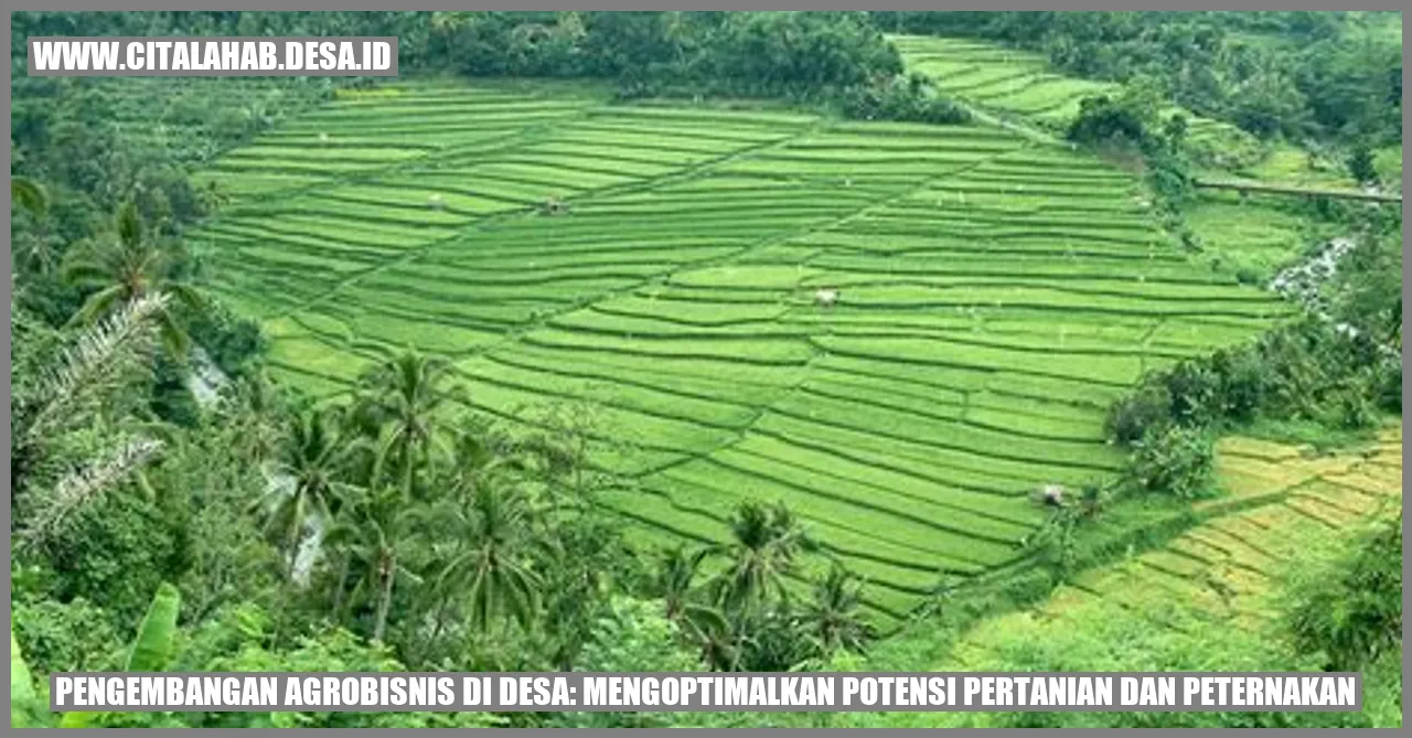 Agrobisnis Desa: Potensi Pertanian