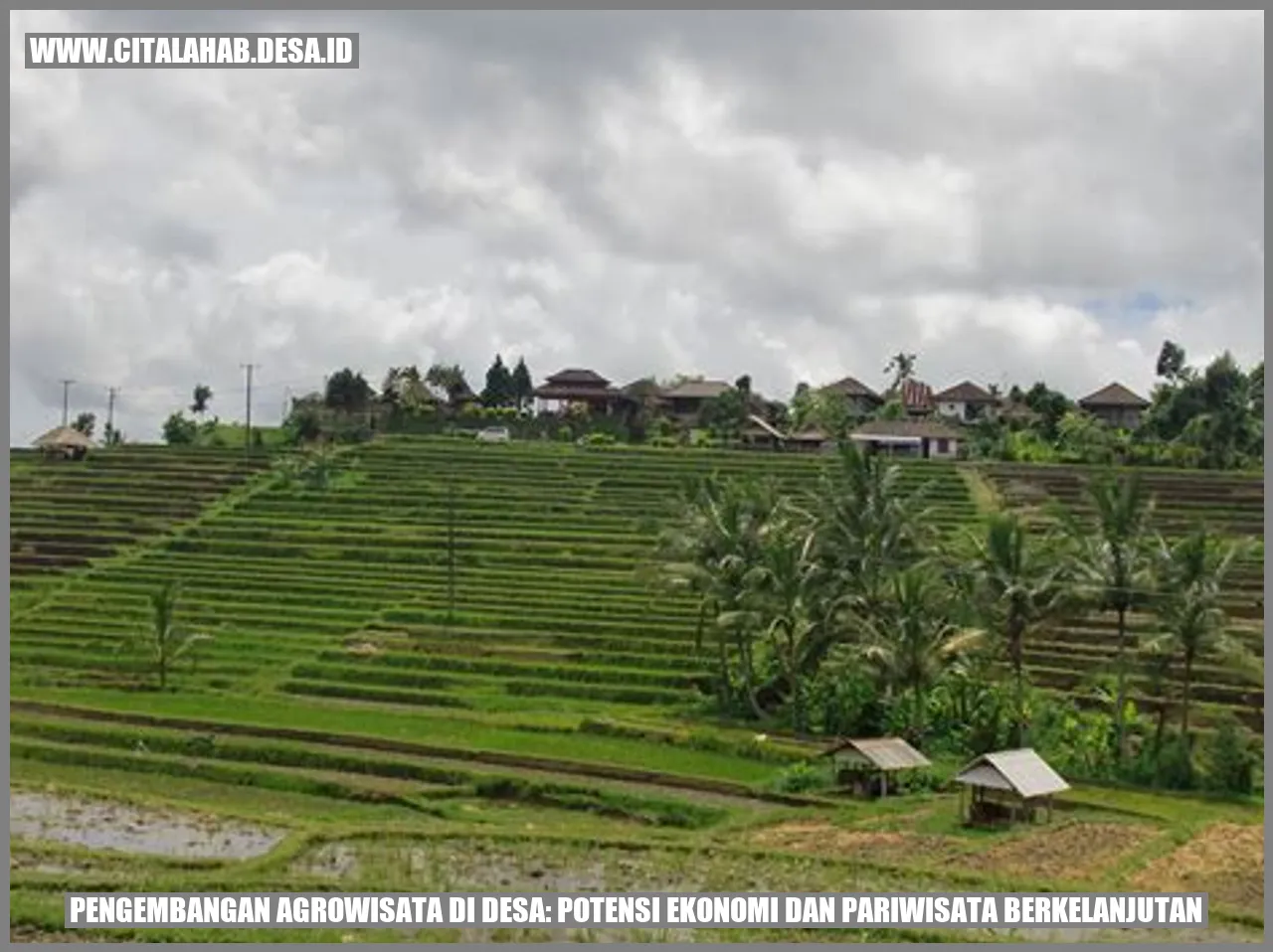 Pengembangan Agrowisata di Desa: Potensi Ekonomi dan Pariwisata Berkelanjutan