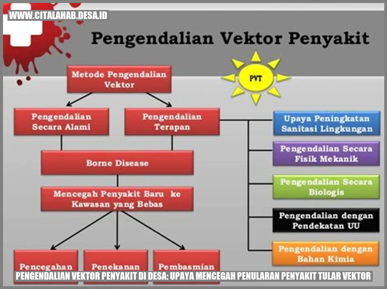 Pengendalian Vektor Penyakit di Desa: Upaya Mencegah Penularan Penyakit Tular Vektor