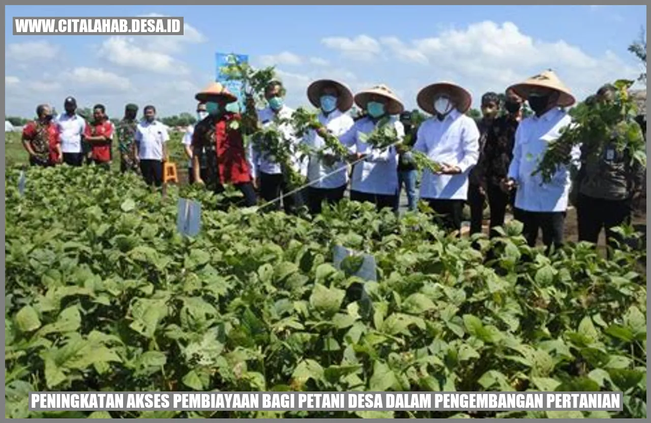 Akses Pembiayaan bagi Petani Desa