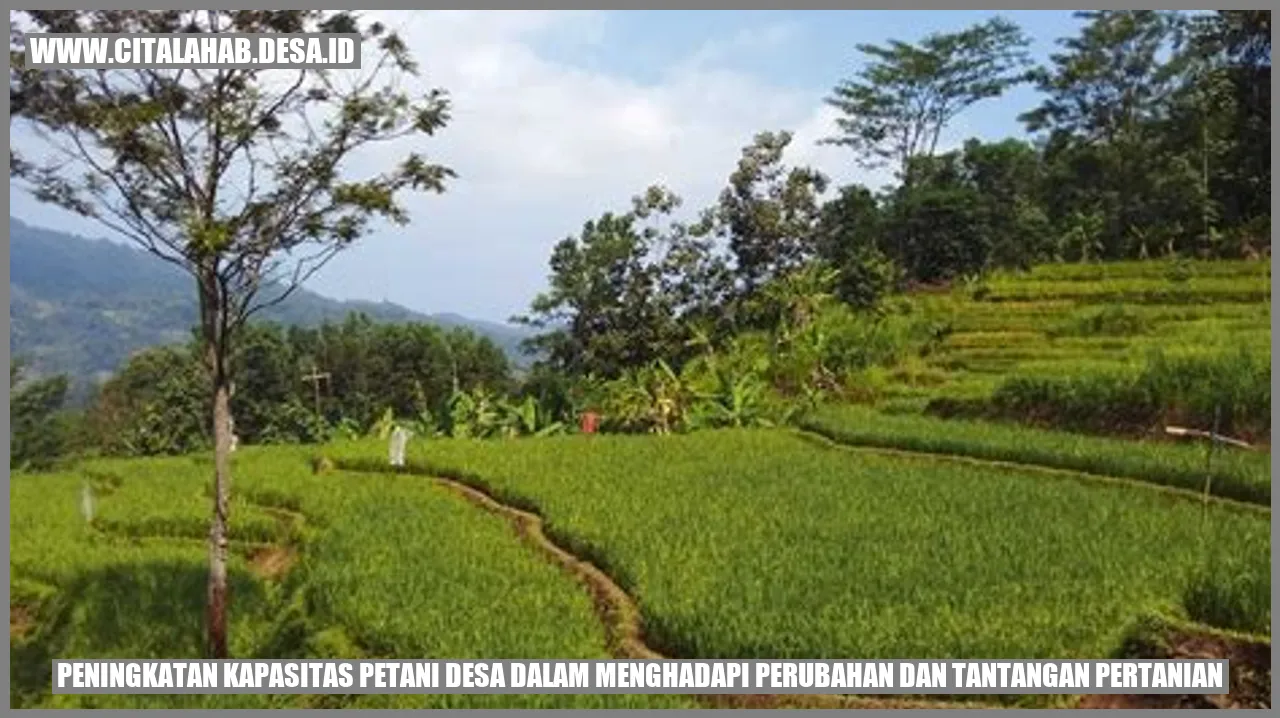 Dampak Peningkatan Kapasitas Petani Desa dalam Menghadapi Perubahan dan Tantangan Pertanian di Desa Citalahab