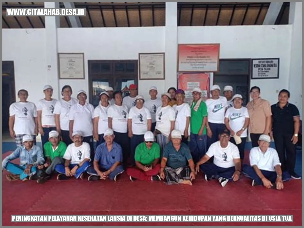 Peningkatan Pelayanan Kesehatan Lansia di Desa: Membangun Kehidupan yang Berkualitas di Usia Tua