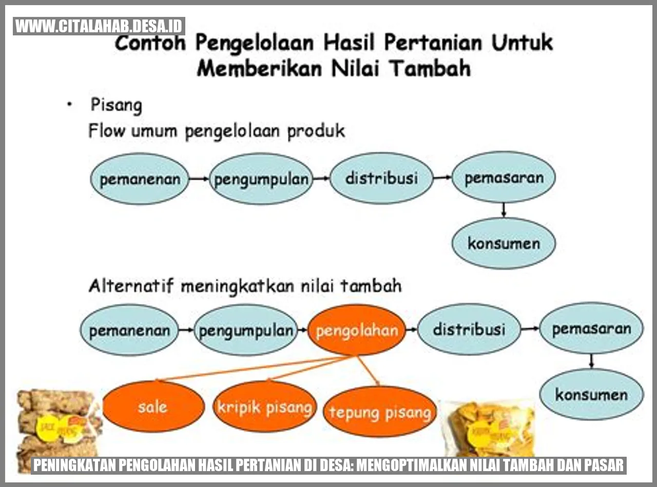 Peningkatan Pengolahan Hasil Pertanian di Desa: Mengoptimalkan Nilai Tambah dan Pasar