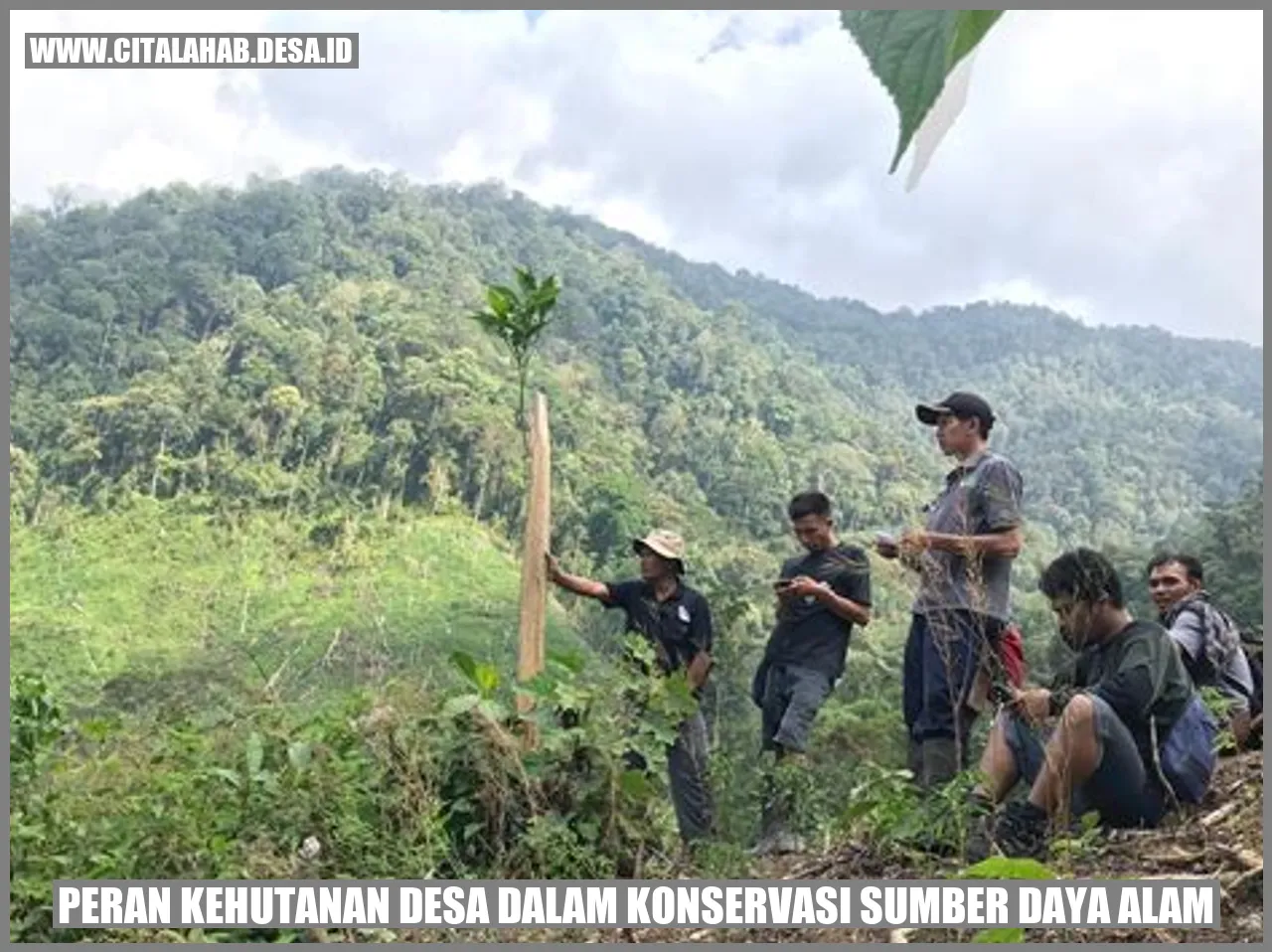 Peran Kehutanan Desa dalam Konservasi Sumber Daya Alam