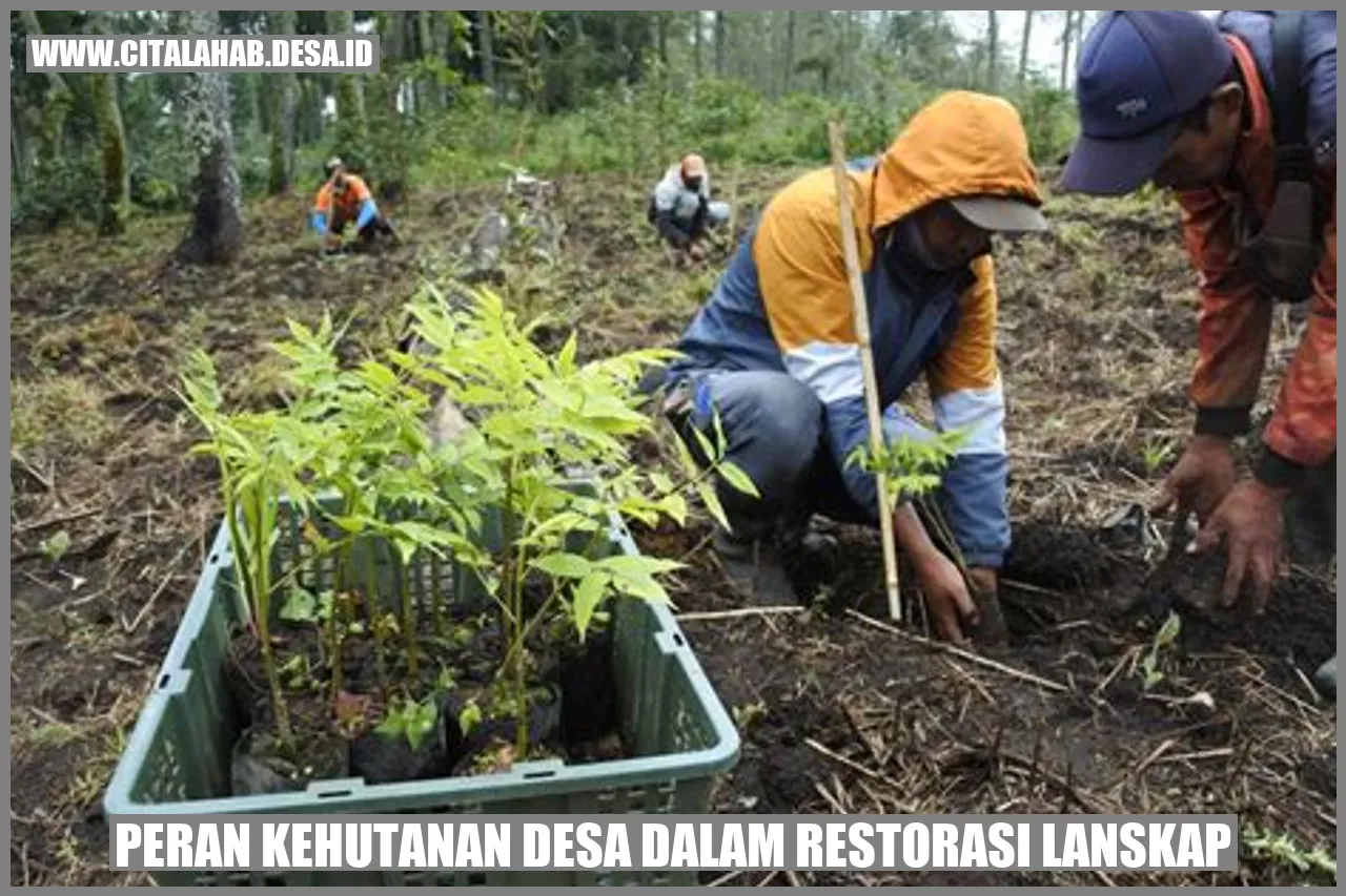 Peran Kehutanan Desa dalam Restorasi Lanskap