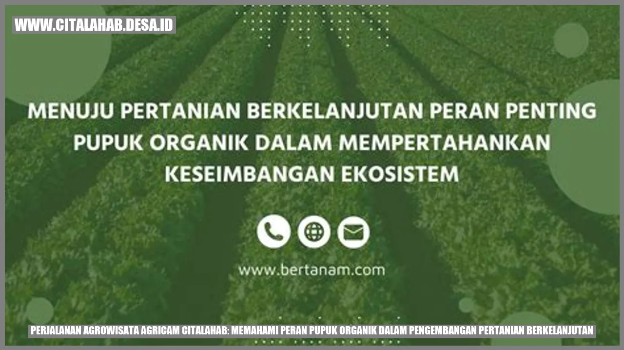 Perjalanan Agrowisata Agricam Citalahab: Memahami Peran Pupuk Organik dalam Pengembangan Pertanian Berkelanjutan