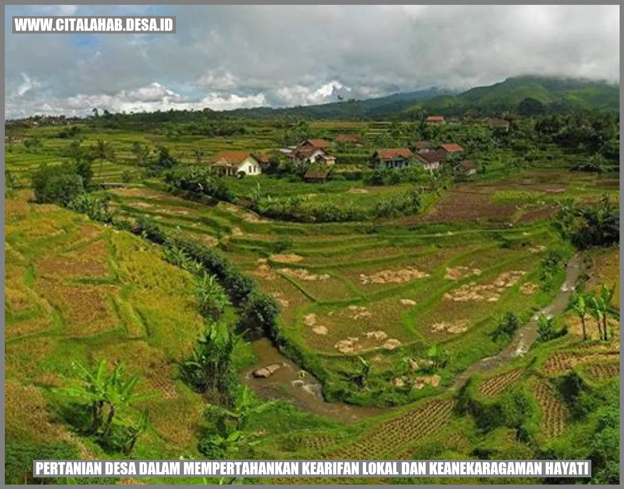 Desa Pertanian & Kearifan Lokal