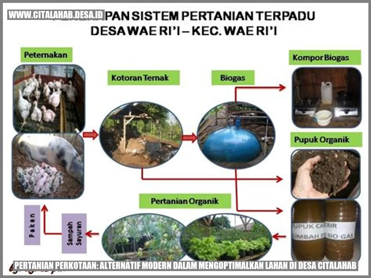 Pertanian Perkotaan: Alternatif Modern dalam Mengoptimalkan Lahan di Desa Citalahab