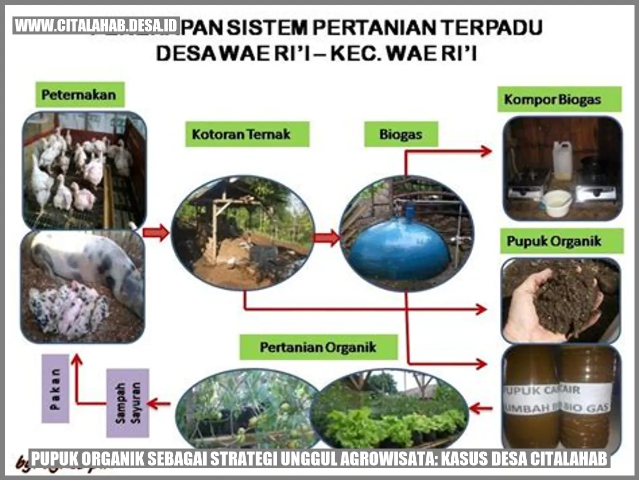 Pupuk Organik sebagai Strategi Unggul Agrowisata: Kasus Desa Citalahab