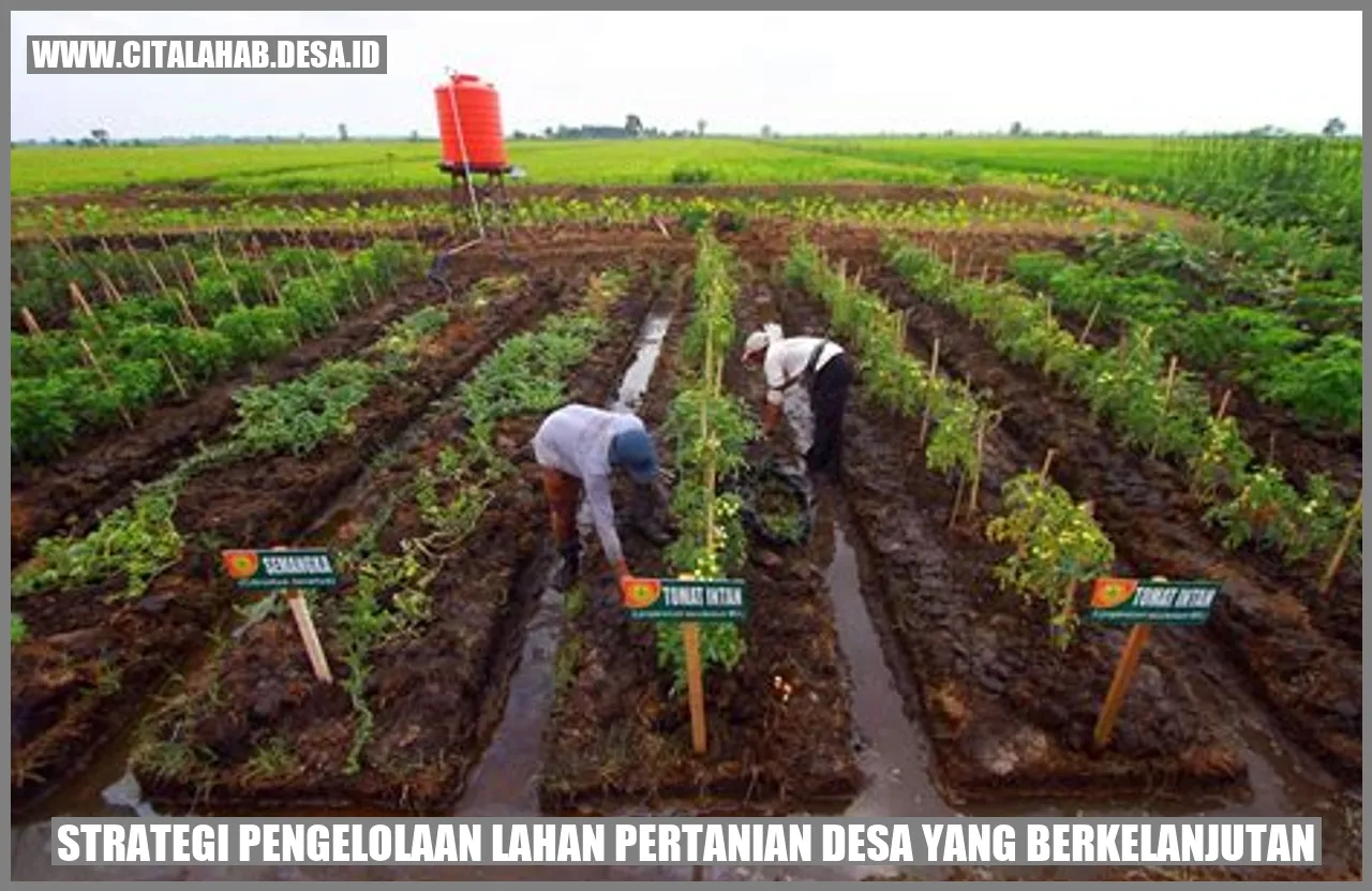 Strategi Pengelolaan Lahan Pertanian Desa yang Berkelanjutan